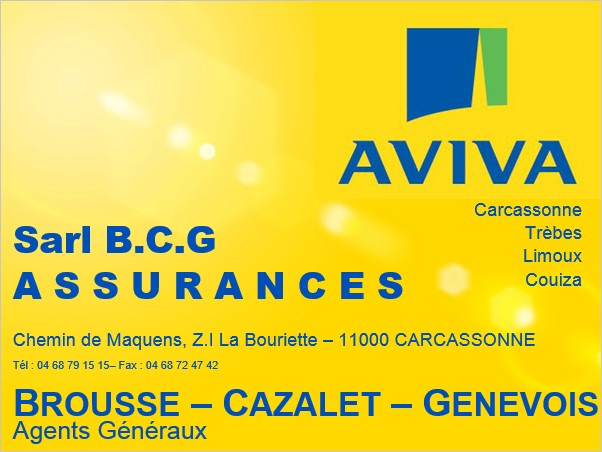 sarl-b-c-g-assurances-aviva